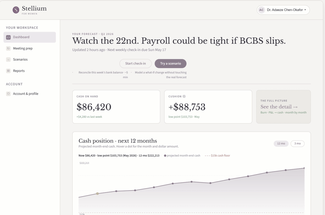 The Stellium dashboard: cash on hand, the cushion above a cash floor, and a 12-month cash position chart, shown with sample data